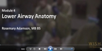 Intro to Bronchoscopy: Lower Airway Anatomy